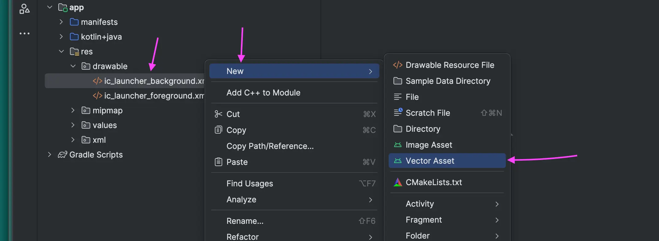Vector Asset